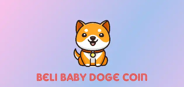 Beli Baby Doge Coin